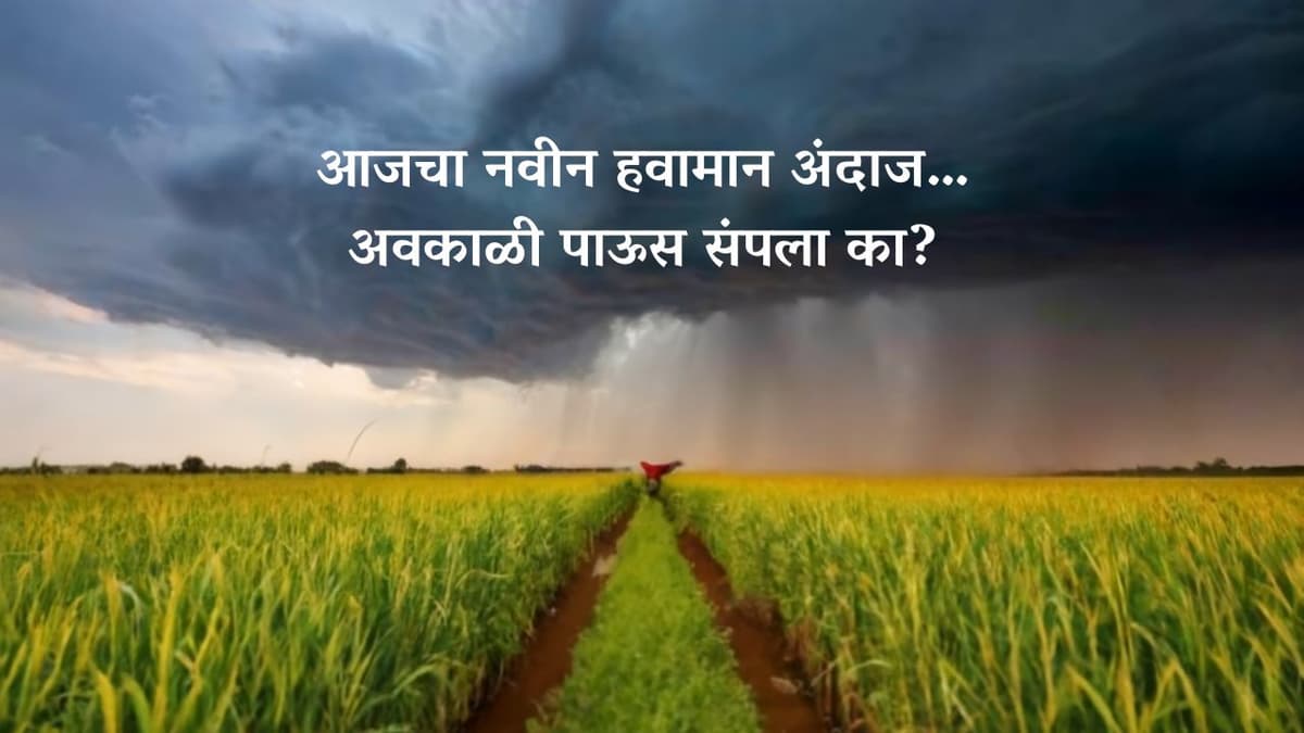 weather forecast : आजचे हवामान अपडेट 