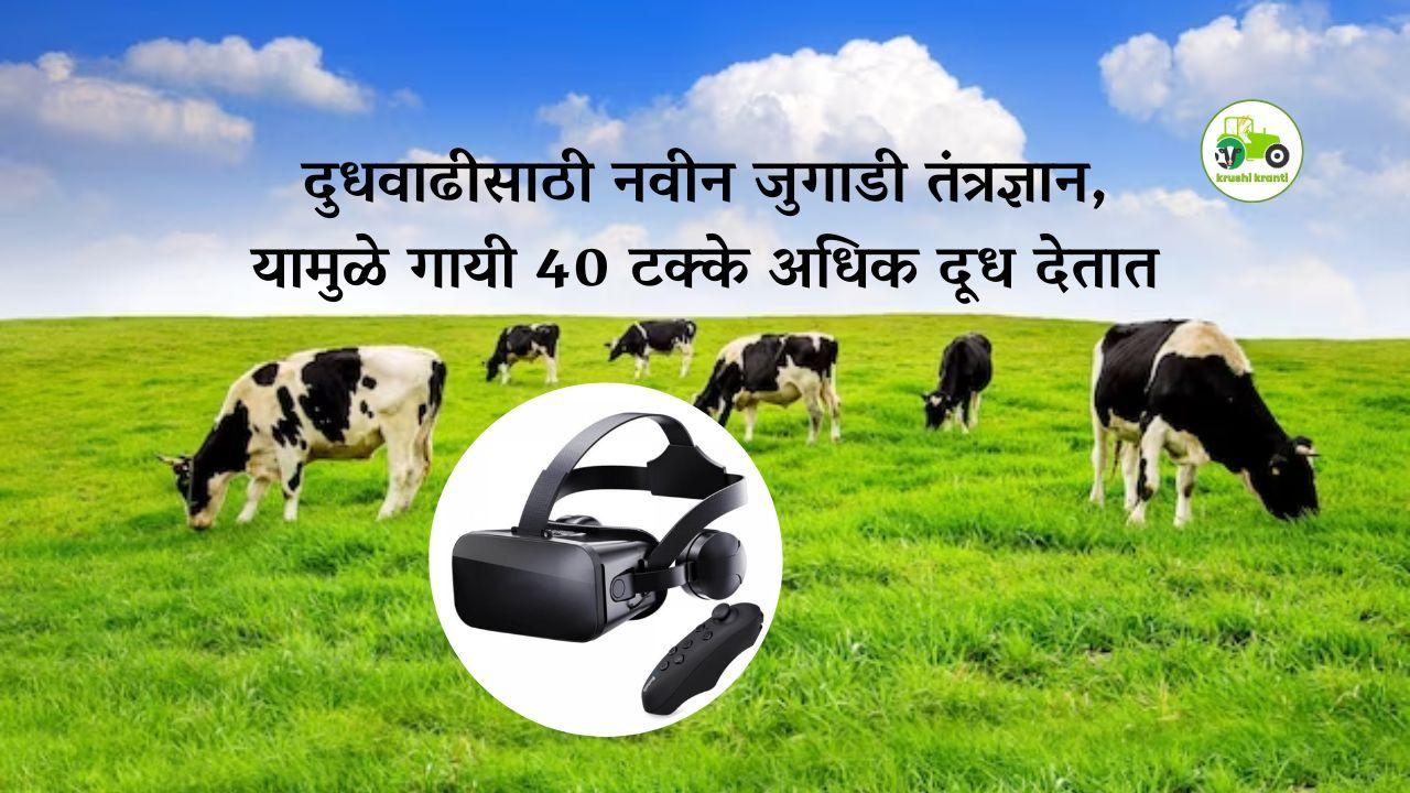Milk production : दुधवाढीसाठी नवीन जुगाडी तंत्रज्ञान, यामुळे गायी 40 टक्के अधिक दूध देतात