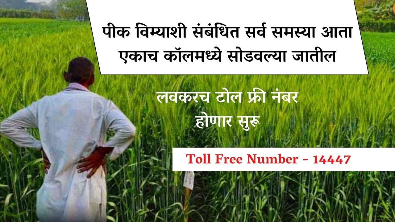 PM Fasal Bima Yojana :  पीक विम्याशी संबंधित सर्व समस्या आता एकाच कॉलमध्ये सुटणार, लवकरच टोल फ्री नंबर होणार सुरू