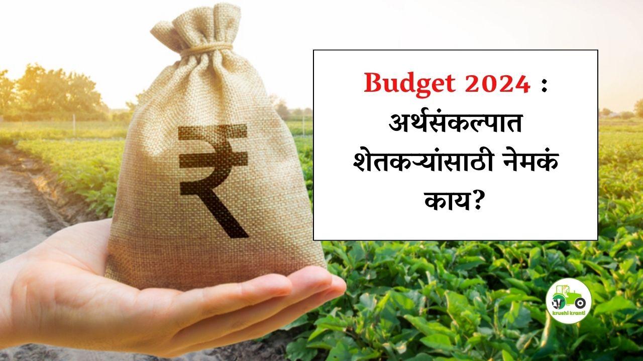 Budget 2024 : अर्थसंकल्पात शेतकऱ्यांसाठी नेमकं काय?