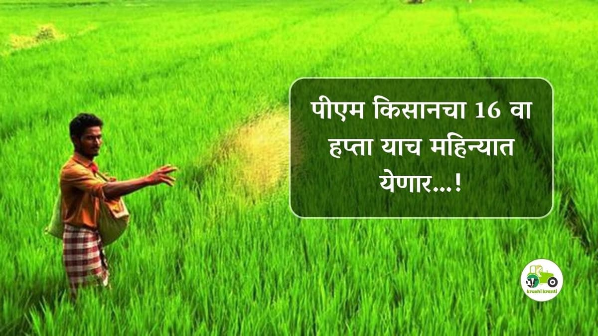 पीएम किसानचा 16 वा हप्ता याच महिन्यात येणार…!