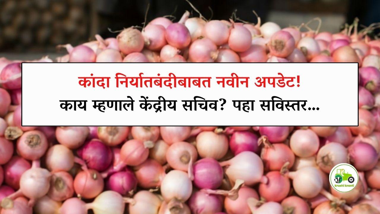 कांदा निर्यातबंदीबाबत नवीन अपडेट! काय म्हणाले केंद्रीय सचिव? पहा सविस्तर…