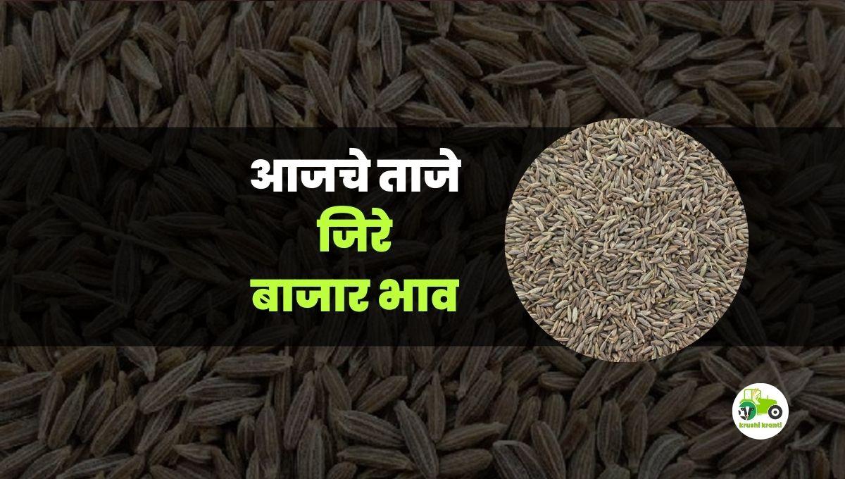 आजचे जिरा बाजारभाव