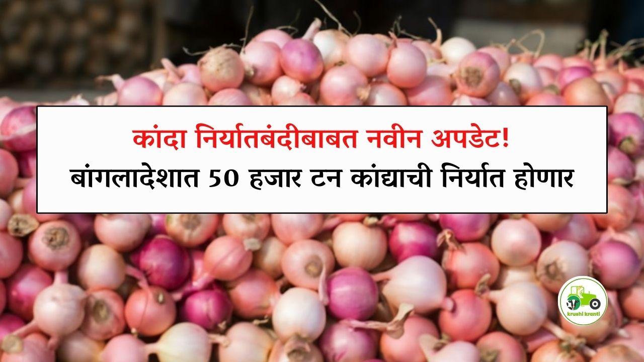 Onion Export : कांदा निर्यातीबाबत नवीन अपडेट…! 