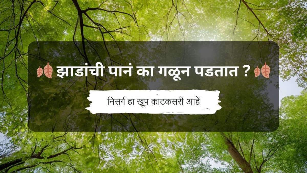 झाडांची पालवी का गळून पडतात ? 