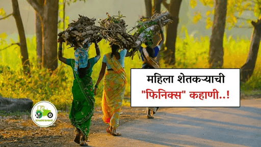 महिला शेतकऱ्याची "फिनिक्स" कहाणी..!
