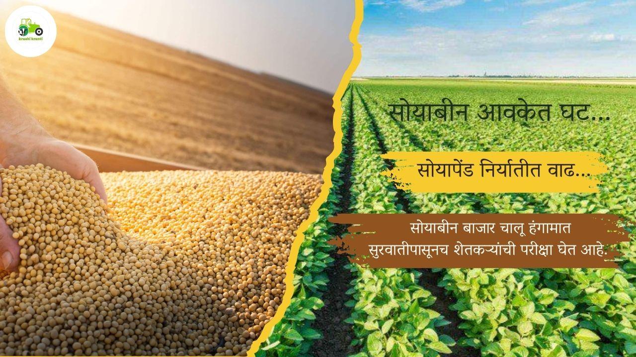  सोयाबीन आवकेत घट