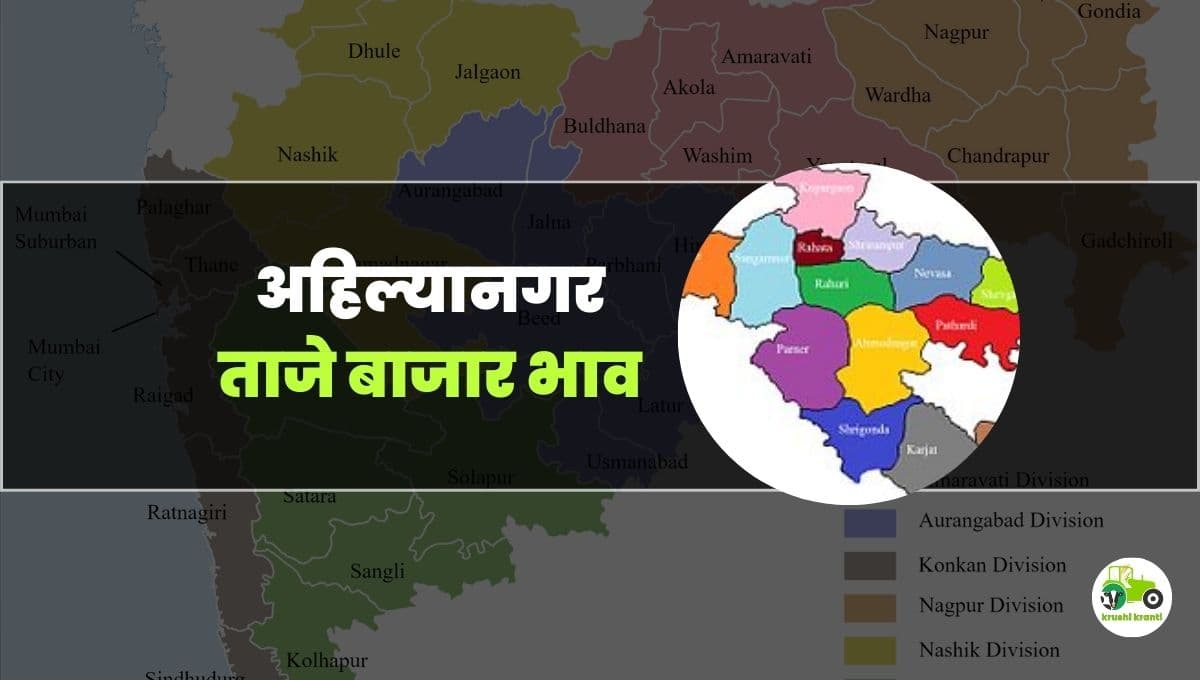 आजचे अहिल्यानगर बाजारभाव