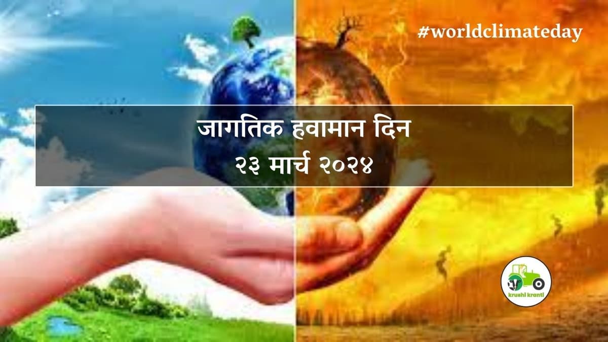 जागतिक हवामान दिन का साजरा केला जातो? पहा याचा इतिहास व यावर्षीची खास थीम - 23 मार्च 2024