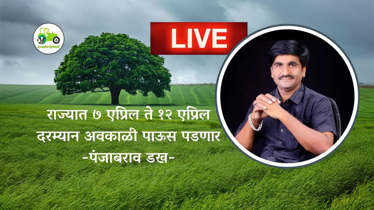 राज्यात ७ एप्रिल ते १२ एप्रिल दरम्यान अवकाळी पाऊस पडणार - पंजाबराव डख 