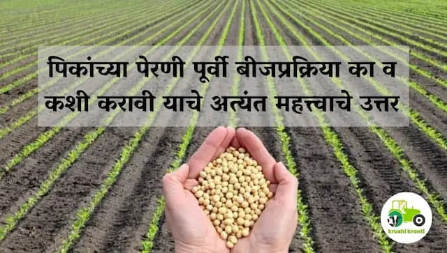 पिकांच्या पेरणी पूर्वी बीजप्रक्रिया का व कशी करावी याचे अत्यंत महत्त्वाचे उत्तर