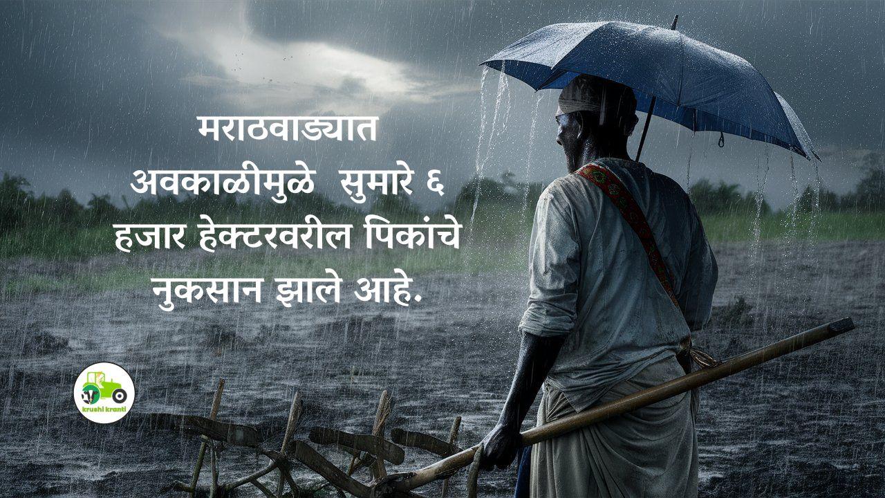 मराठवाड्यात अवकाळीमुळे  सुमारे ६ हजार हेक्टरवरील पिकांचे नुकसान झाले आहे.