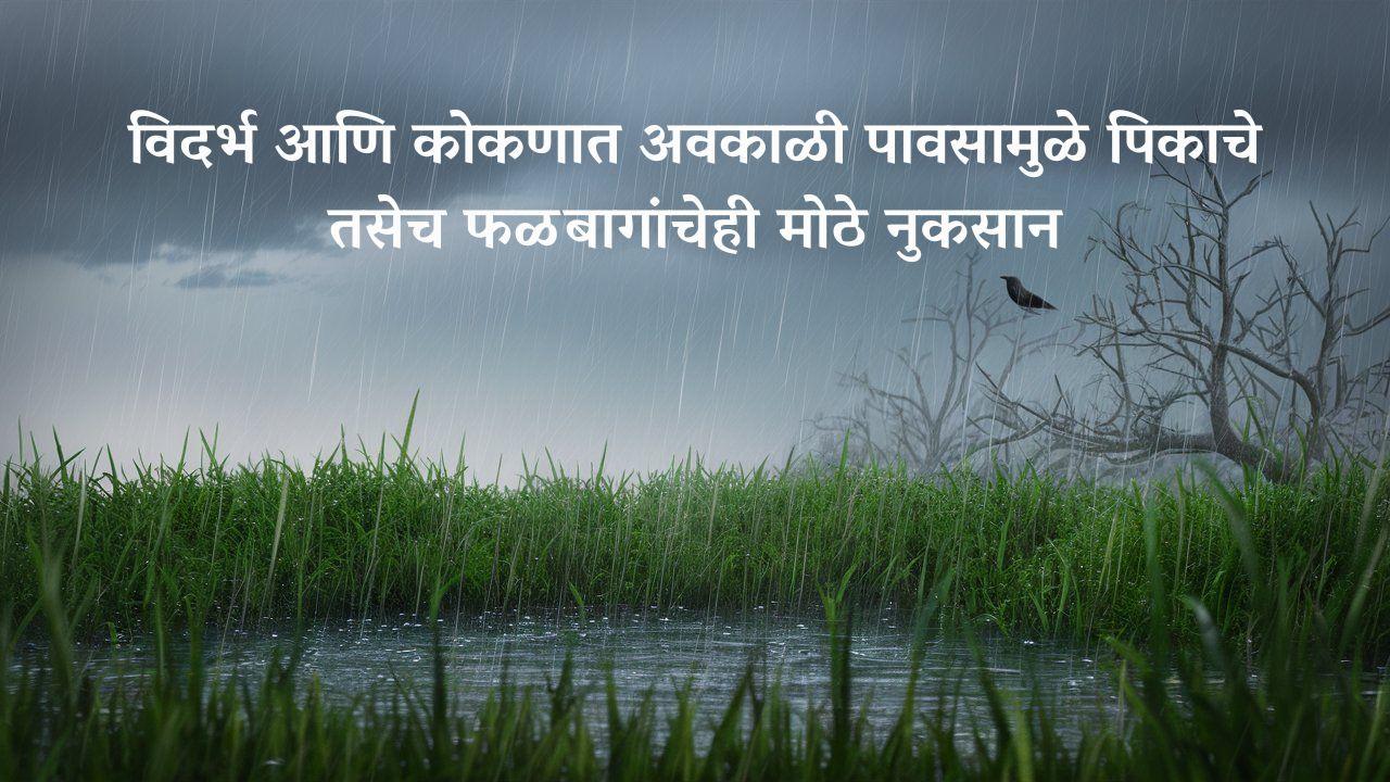 विदर्भ आणि कोकणात अवकाळी पावसामुळे पिकाचे तसेच फळबागांचेही मोठे नुकसान 