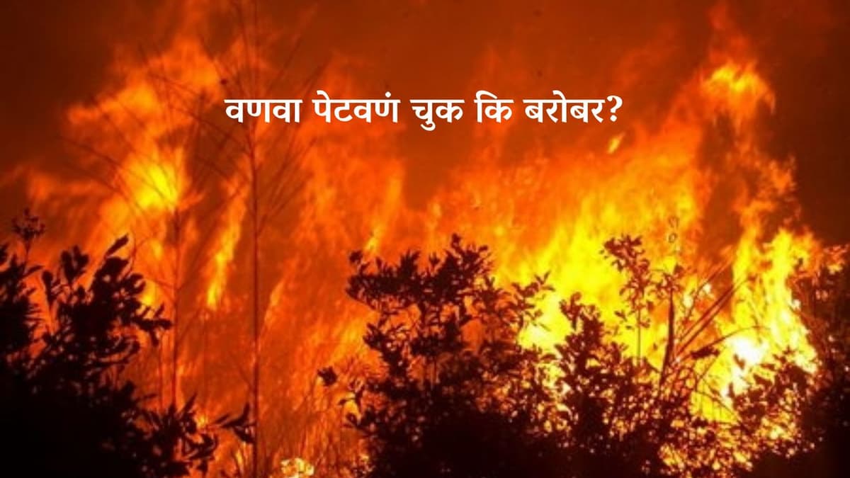 वणवा पेटवणं चुक कि बरोबर?
