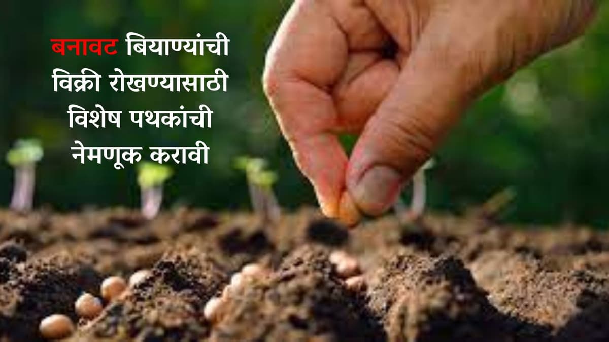 बनावट बियाण्यांची विक्री रोखण्यासाठी विशेष पथकांची नेमणूक करण्याचे आवाहन 