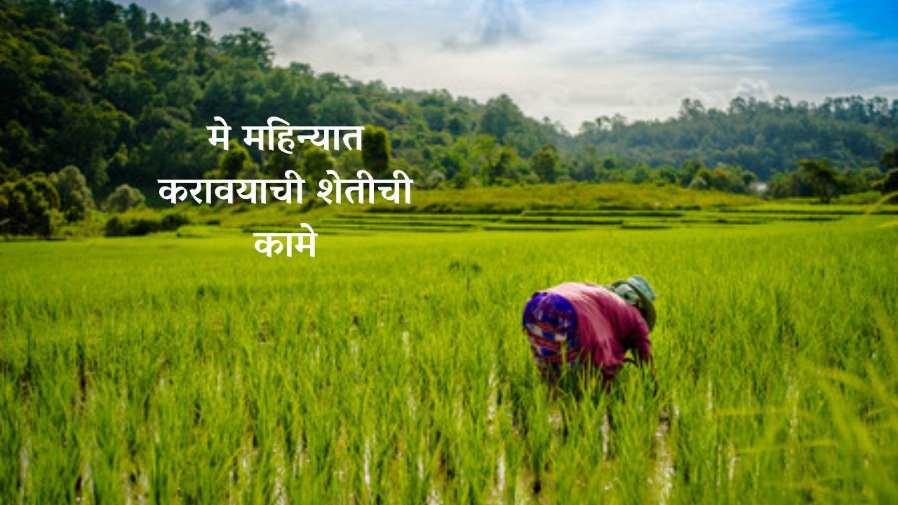 मे महिन्यात करावयाची शेतीची कामे
