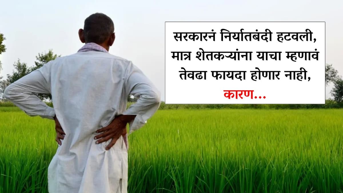 सरकारनं निर्यातबंदी हटवली, मात्र शेतकऱ्यांना याचा म्हणावं तेवढा फायदा होणार नाही, कारण…