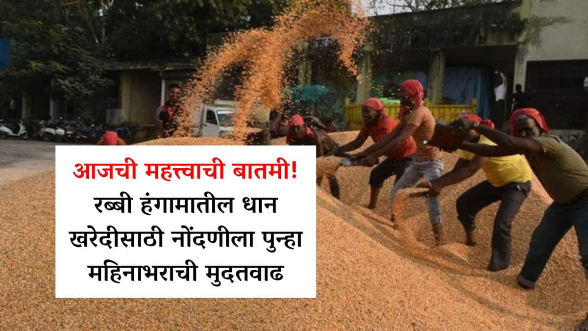आजची महत्त्वाची बातमी..! रब्बी हंगामातील धान खरेदीसाठी नोंदणीला पुन्हा महिनाभराची मुदतवाढ