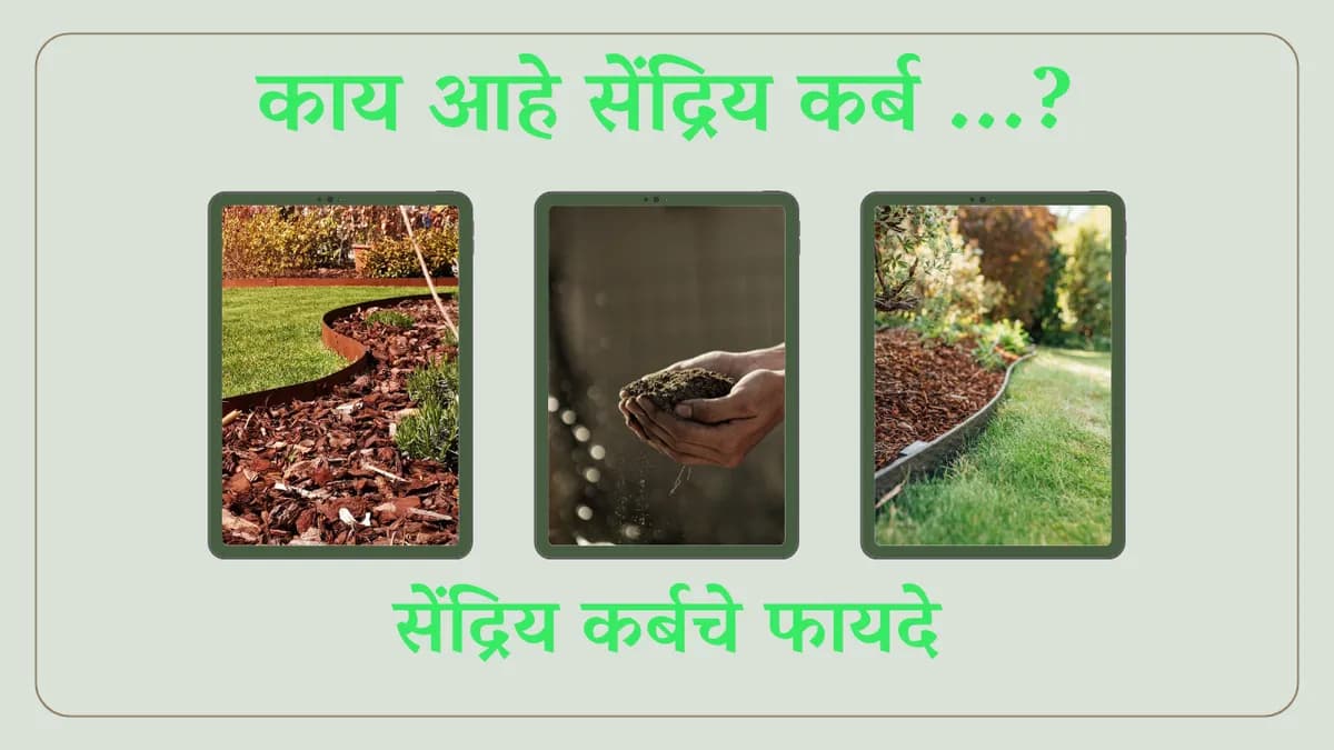 काय आहे सेंद्रिय कर्ब व त्याचे फायदे