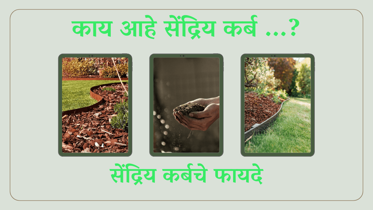 काय आहे सेंद्रिय कर्ब व त्याचे फायदे
