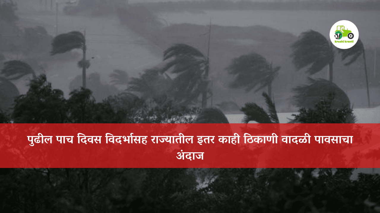पुढील पाच दिवस विदर्भासह राज्यातील इतर काही ठिकाणी वादळी पावसाचा अंदाज