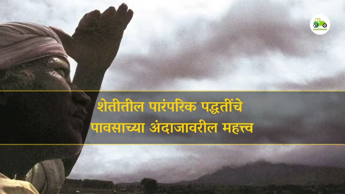 शेतीतील पारंपरिक पद्धतींचे पावसाच्या अंदाजावरील महत्त्व