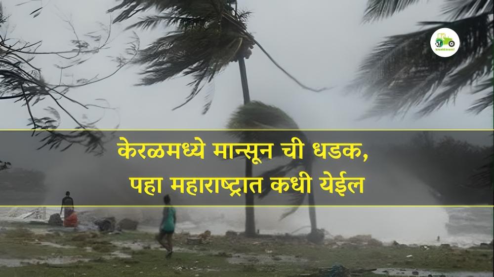 केरळमध्ये मान्सूनची धडक पहा महाराष्ट्रमध्ये कधी येईल