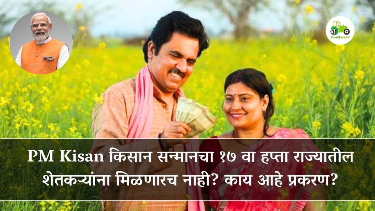 PM Kisan किसान सन्मानचा १७ वा हप्ता राज्यातील शेतकऱ्यांना मिळणारच नाही? काय आहे प्रकरण?
