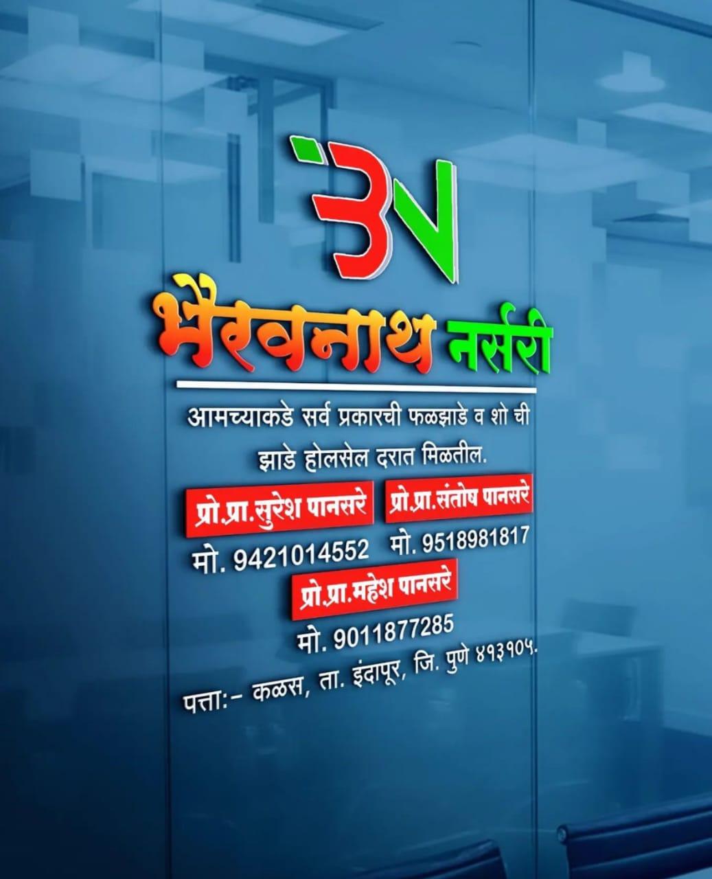 भैरवनाथ नर्सरी
