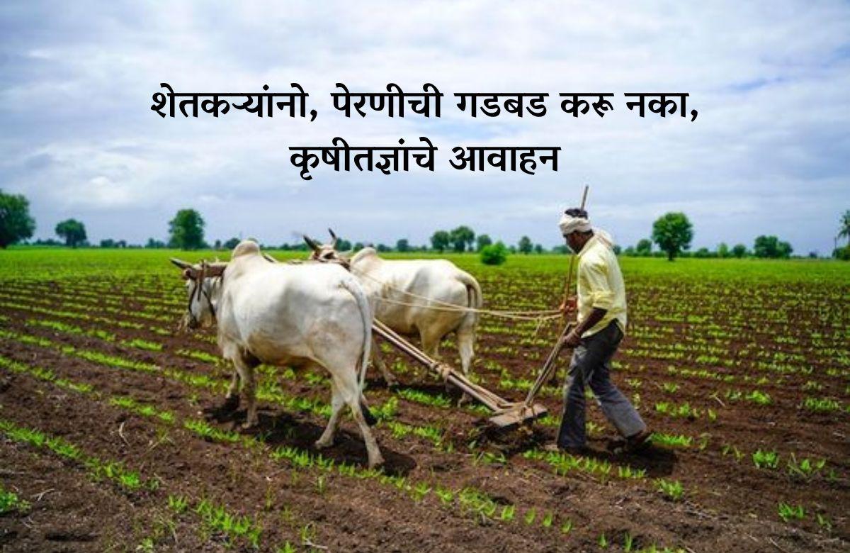 शेतकऱ्यांनो, पेरणीची घाई  करू नका, कृषीतज्ञांचे आवाहन
