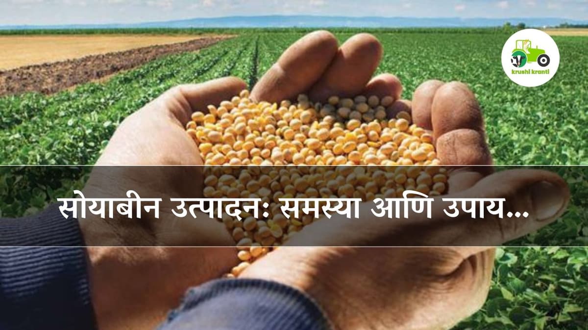 सोयाबीन उत्पादन: समस्या आणि उपाय…
