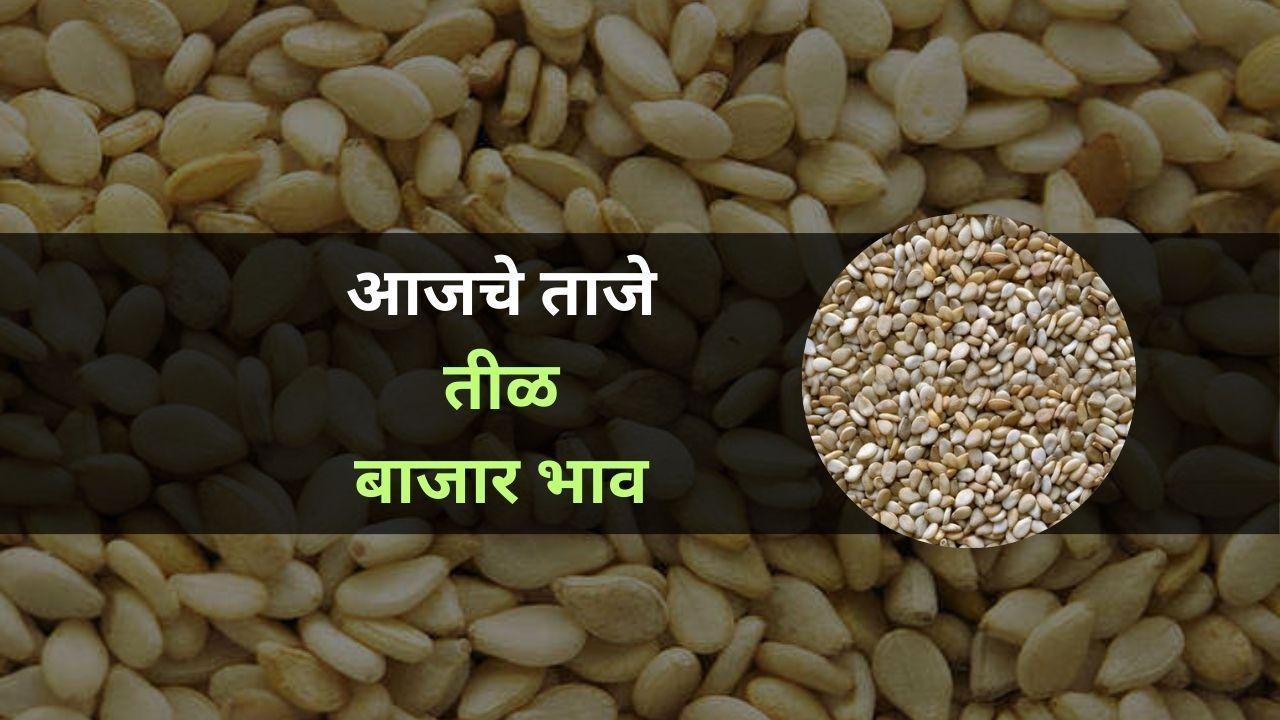 आजचे तीळ बाजारभाव