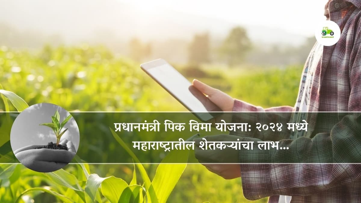 1 रुपयात पीक विमा भरणा सुरु, अंतिम तारीख किती? कृषीमंत्र्यांनी दिली सविस्तर माहिती