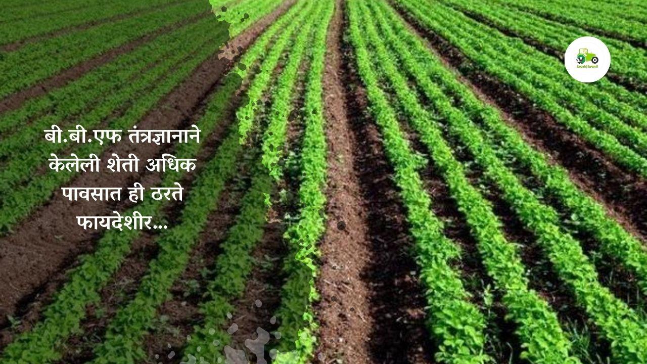 बी.बी.एफ तंत्रज्ञानाने केलेली, शेती अधिक पावसात अधिक फायदेशीर ठरते …