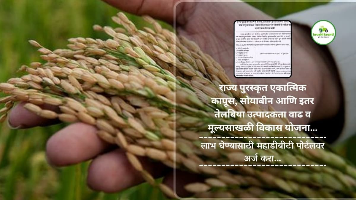 राज्य पुरस्कृत एकात्मिक कापूस, सोयाबीन आणि इतर तेलबिया उत्पादकता वाढ व मूल्यसाखळी विकास योजना…