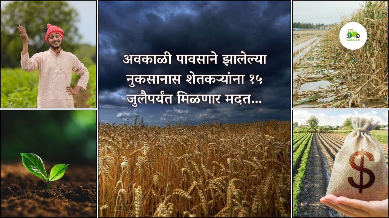 अवकाळी पावसाने झालेल्या नुकसानास  शेतकऱ्यांना १५ जुलैपर्यंत मिळणार मदत…