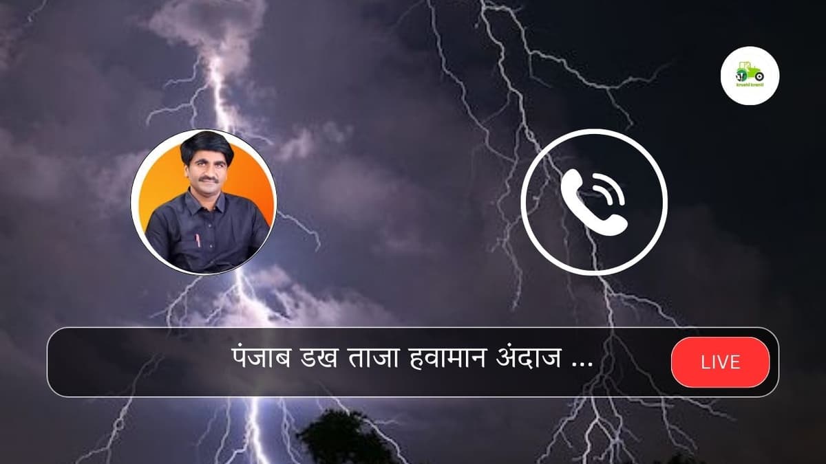 आजचा पंजाब डख हवामान अंदाज - 1 जुलै 2024