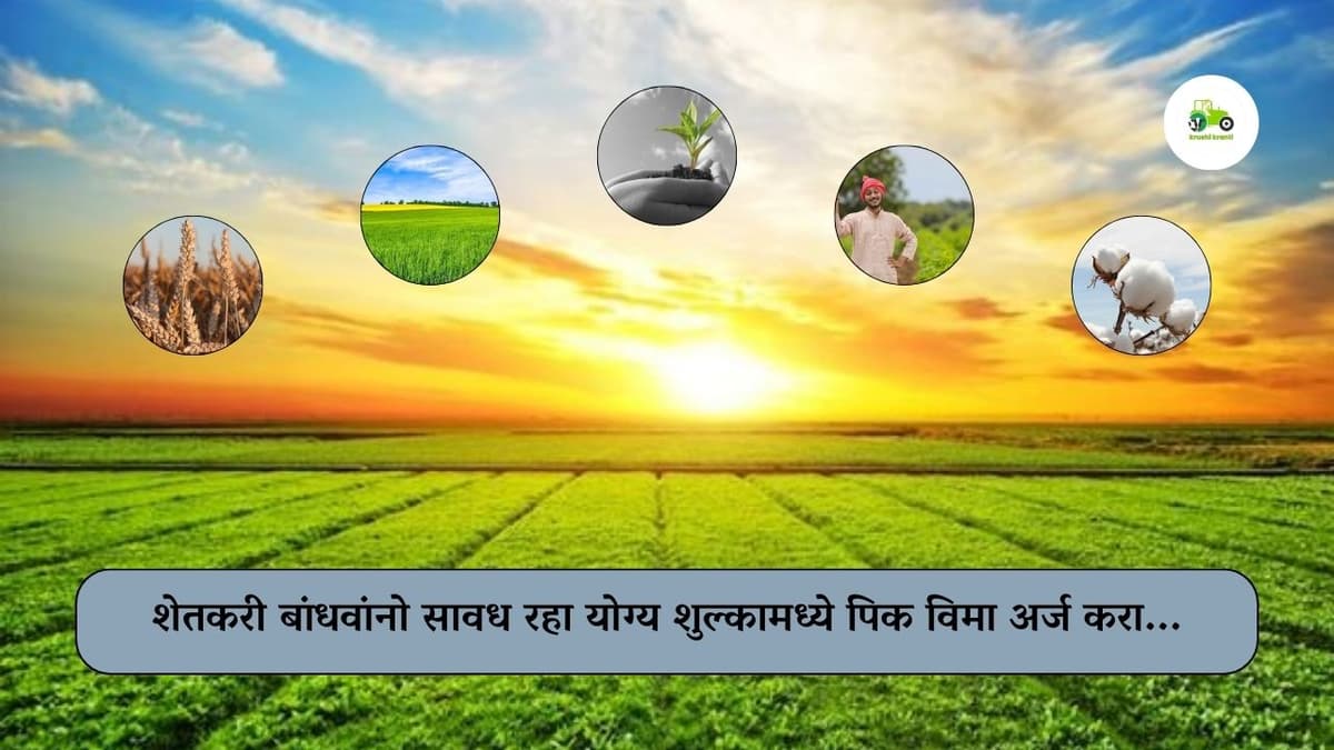 शेतकरी बांधवांनो सावध रहा योग्य शुल्कामध्ये पिक विमा अर्ज करा...