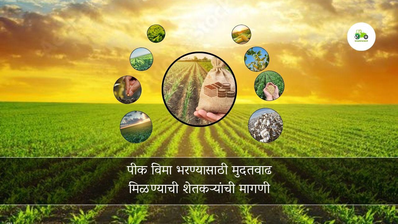 पीक विमा भरण्यासाठी मुदतवाढ मिळण्याची शेतकऱ्यांची मागणी 