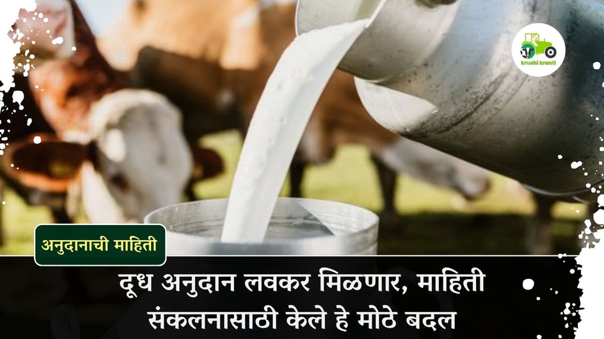 दूध अनुदान लवकर मिळणार, माहिती संकलनासाठी केले हे मोठे बदल