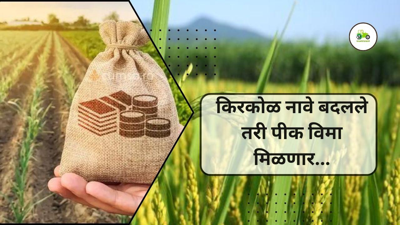 किरकोळ नावे बदलले तरी पीक विमा मिळणार...