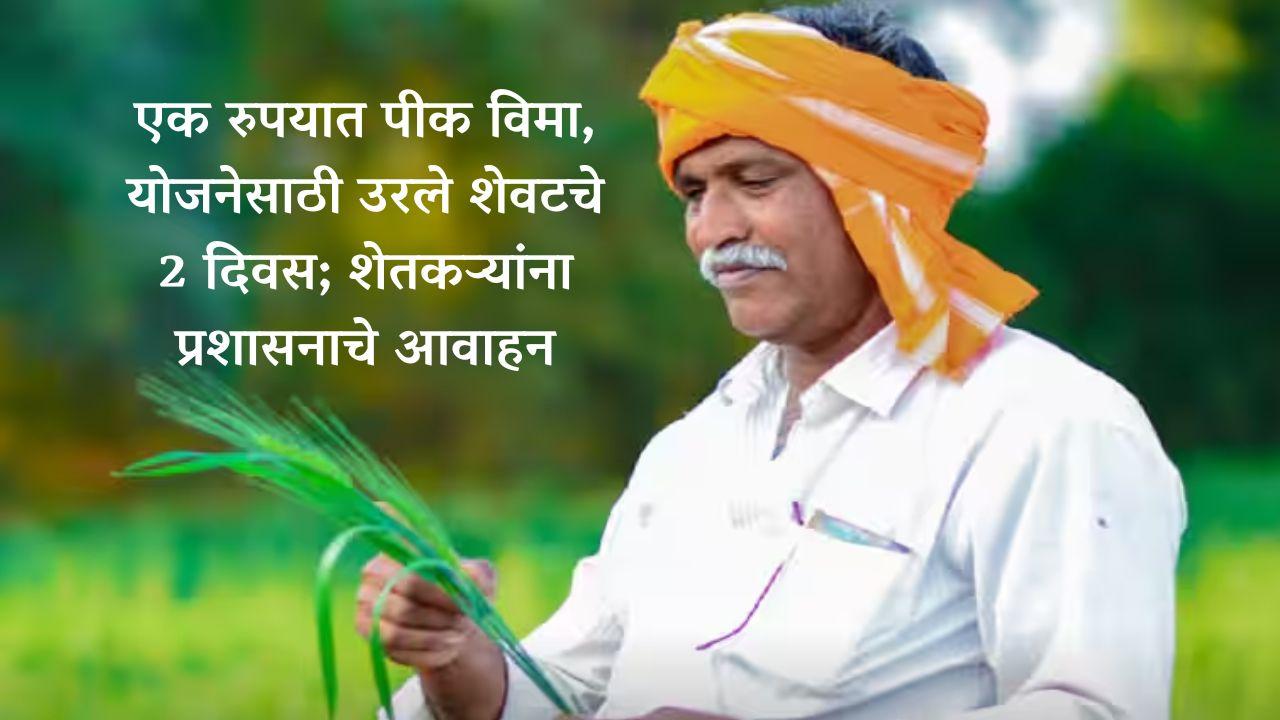 एक रुपयात पीक विमा, योजनेसाठी उरले शेवटचे 2 दिवस; शेतकर्‍यांना प्रशासनाचे आवाहन