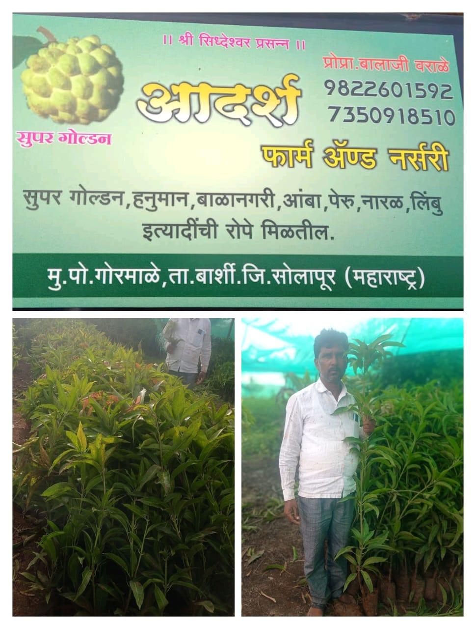 आदर्श फार्म अँड नर्सरी
