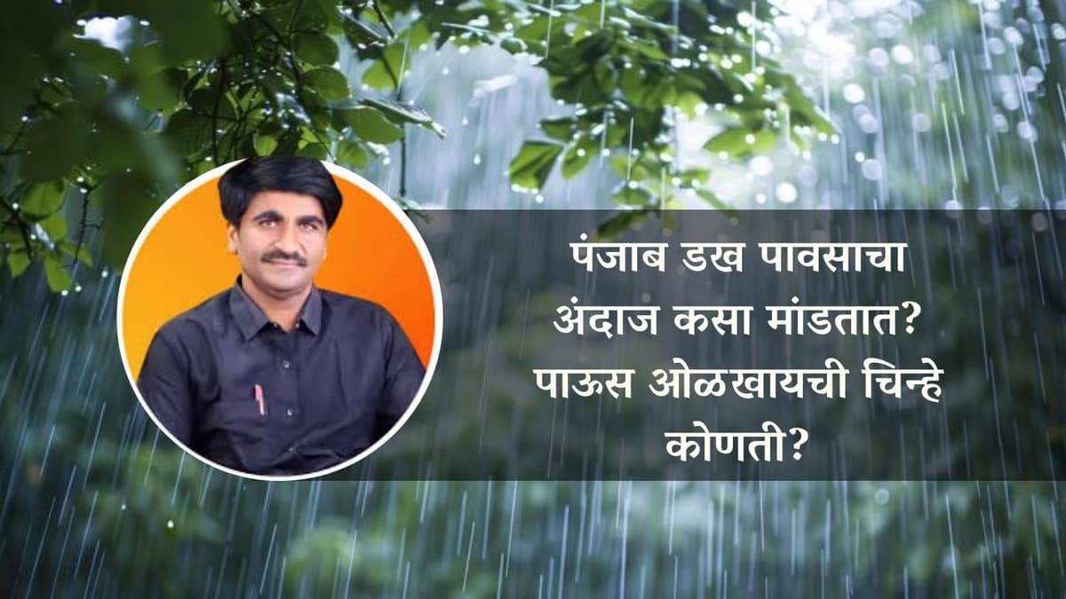 पंजाब डख पावसाचा अंदाज कसा मांडतात? पाऊस ओळखायची चिन्हे कोणती?