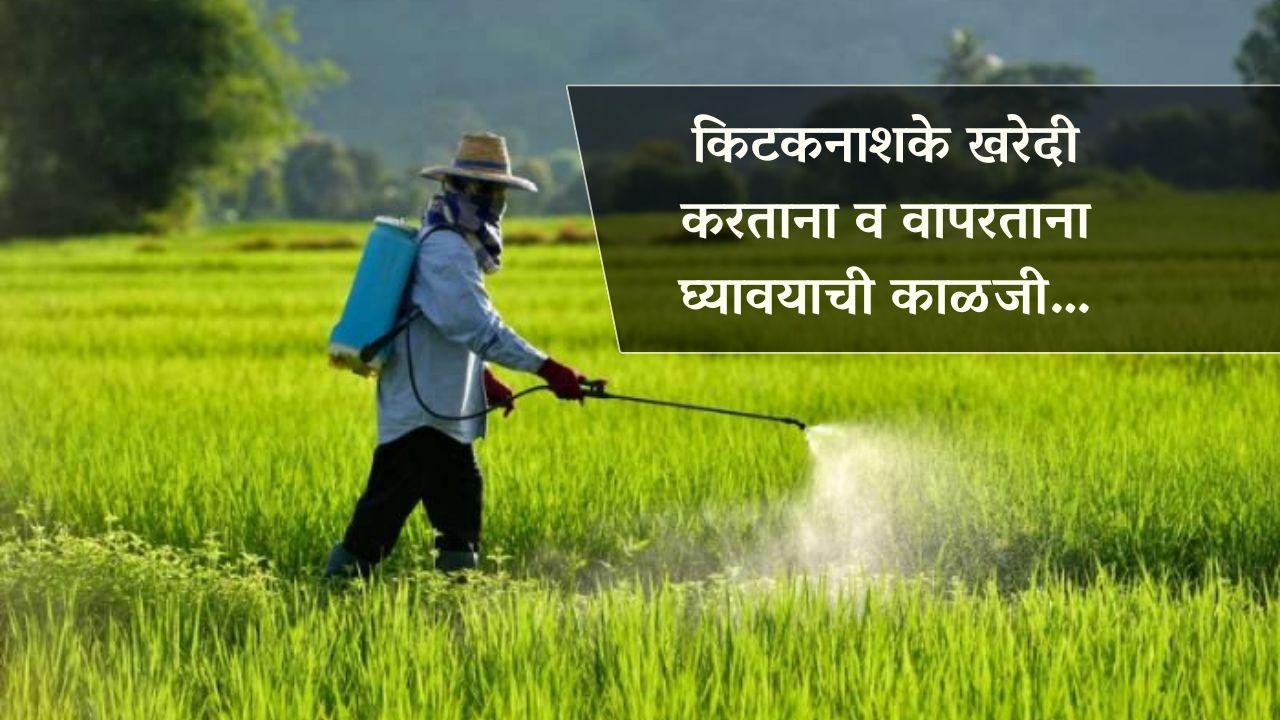 किटकनाशके खरेदी करताना व वापरताना घ्यावयाची काळजी…