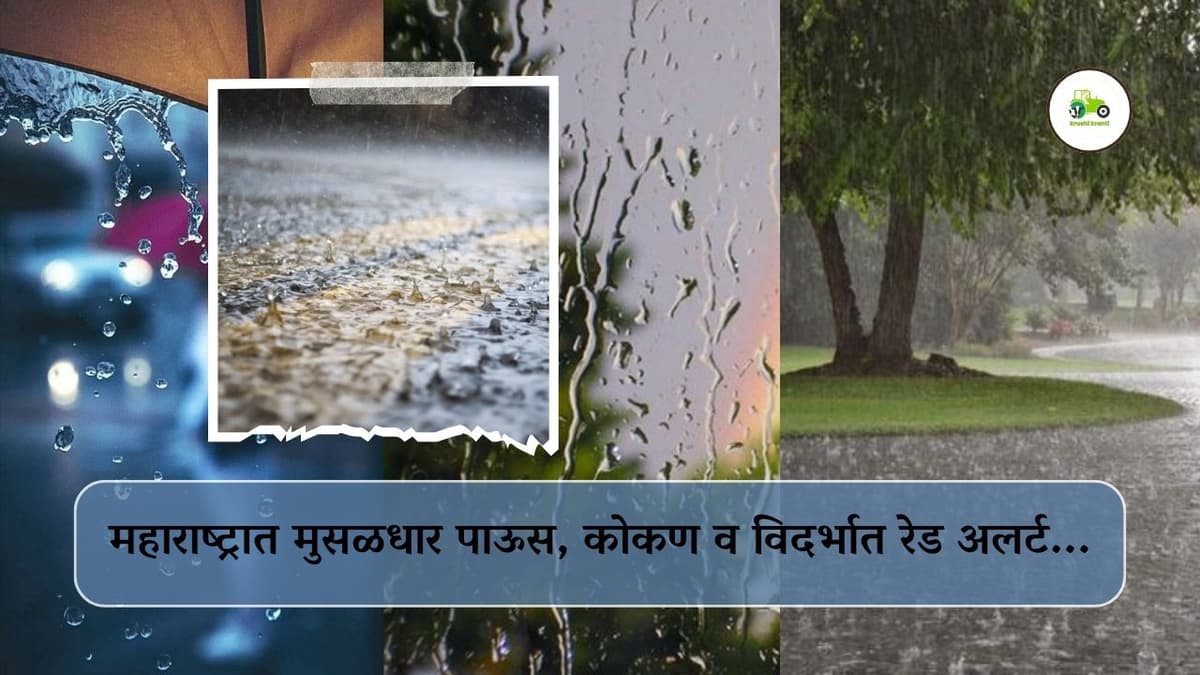 महाराष्ट्रात मुसळधार पाऊस, कोकण व विदर्भात रेड अलर्ट...