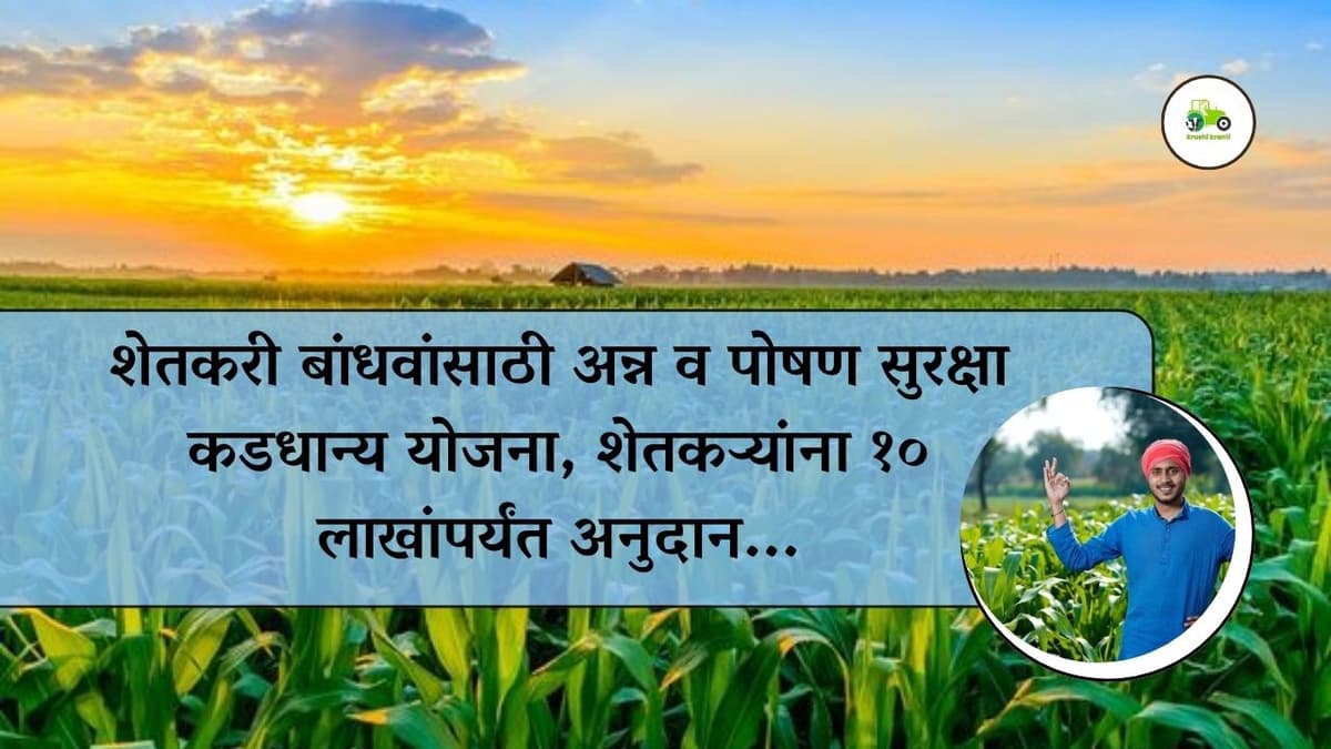शेतकरी बांधवांसाठी अन्न व पोषण सुरक्षा कडधान्य योजना, शेतकऱ्यांना १० लाखांपर्यंत अनुदान...
