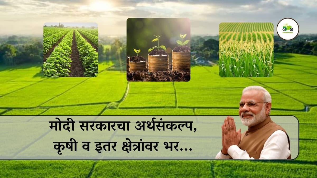 मोदी सरकारचा अर्थसंकल्प, कृषी व इतर क्षेत्रांवर भर...
