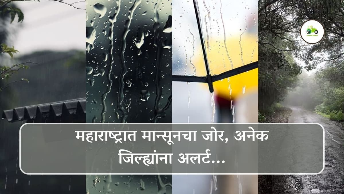 महाराष्ट्रात मान्सूनचा जोर, अनेक जिल्ह्यांना अलर्ट...