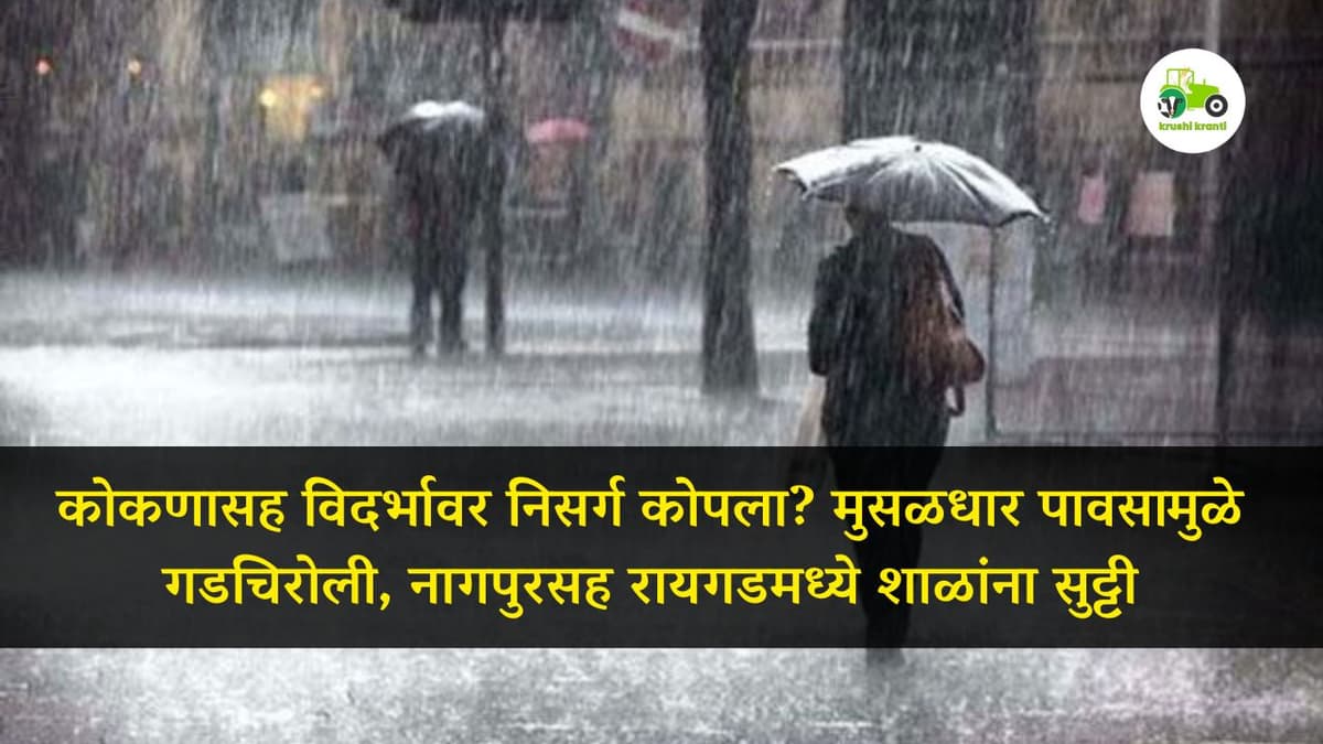 कोकणासह विदर्भावर निसर्ग कोपला? मुसळधार पावसामुळे गडचिरोली, नागपुरसह रायगडमध्ये शाळांना सुट्टी